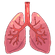 Lungs