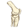 joints